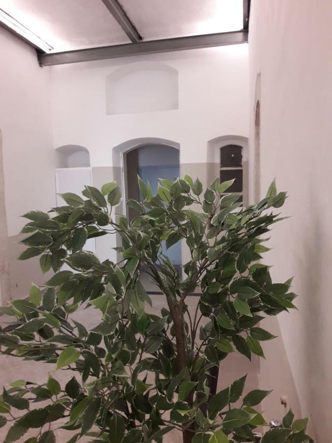 Queen Hotel 耶路撒冷 外观 照片